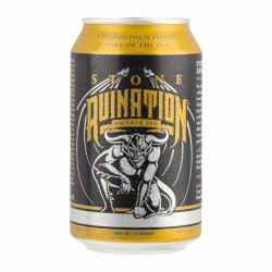 Stone - Ruination - 8.2% West Coast DIPA - 355ml Can - The Triangle