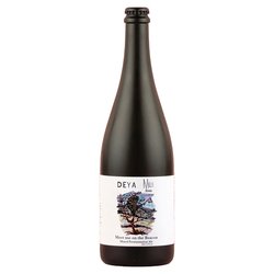 DEYA Brewing Company Meet Me On the Beacon