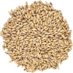 Enzime Malt - Viking Malt - Panama Brewers Supply