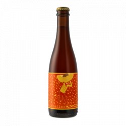 Mikkeller Spontan Apricot Sour 375ml Bottle - Beer Head