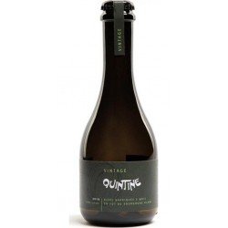 QUINTINE BARRIQUEE BOURGOGNE BLANC 2019 33CL - Selfdrinks