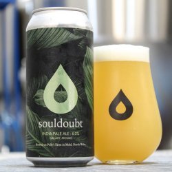 Pollys - Souldoubt – 6% India Pale Ale - 440ml Can - The Triangle