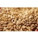 Weyermann Pale Ale Malt 