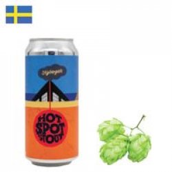 Stigbergets Hot Spot Stout 440ml CAN - Drink Online - Drink Shop