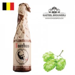 Bacchus Vlaams Oud Bruin 375ml - Drink Online - Drink Shop