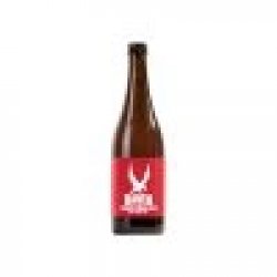 Pivovar Raven Christmas IPA Pivovar Raven Christmas IPA