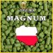 Magnum (pellet) Magnum (pellet)