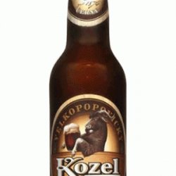 KOZEL DARK 50cl (20ΑΔΑ) - Wineshop.gr