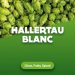 Hop cones Hallertau Blanc 5 kg 