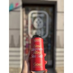 NOZIB Special Brews GOSETERIA #3 Lime + Raspberry + Mint + Sea Salt