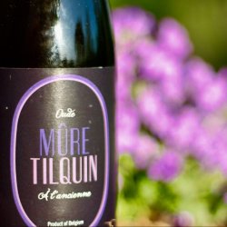 Tilquin Mûre à L’Ancienne 37cl - Cantina Brassicola Digitale