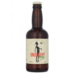 De Glazen Toren Ondineke