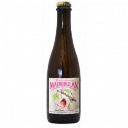 Menaresta Birra Madre In Del Bosc Madribulan - Cantina della Birra