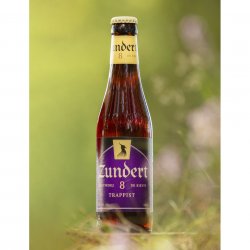 Zundert, 8, Belgian Tripel, 8.0%, 330ml - The Epicurean