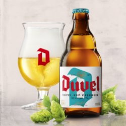 Duvel Tripel Hop Cashmere 9,5% (Casier de 24 x 33cl) - Big Bag Delivery