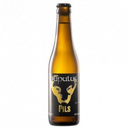 Lupulus Pils 5% (Casier 24 x 33cl) - Big Bag Delivery