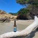 BIERE DES ÎLES D BIERE DES ÎLES D