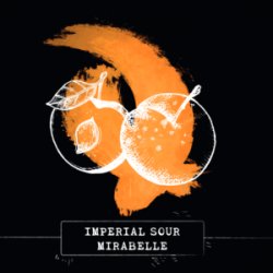Brasseurs Cueilleurs - Bières Plouf IMPERIAL SOUR MIRABELLE - Easybeer.shop