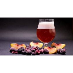 CURSO GRATIS CERVEZAS CON FRUTAS Y ESPECIAS - Minicervecería