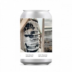 To Øl & Saltverk There Gose The Seawater Pipe - Craft Central