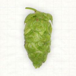 US Apollo Pellets Typ 90 - Hopsteiner