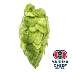 Lúpulo Citra x 454 grs Yakima Chiefs - Cibart