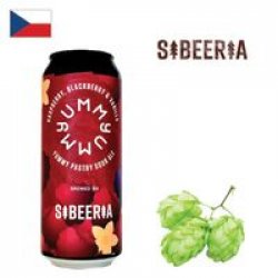 Sibeeria Yummy Raspberry Blackberry & Vanilla 500ml CAN - Drink Online - Drink Shop