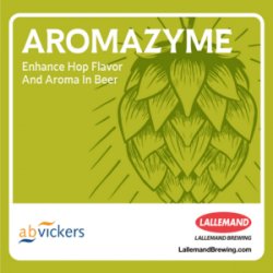 Aromazyme x 5 grs - The Craft Drinks Lab