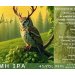 Brasserie Noktua Brama Mh ipa 3  0.33L 
