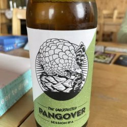 Pangover - B like BEER