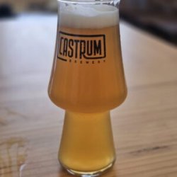 Castrum Vaso IPA Explicit Hop Content - Castrum