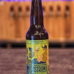 Castrum AMERICAN IPA 33cl - Castrum