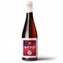 Dois Corvos Bachus, Grape Ale Aged in Amphora - Dois Corvos Cervejeira