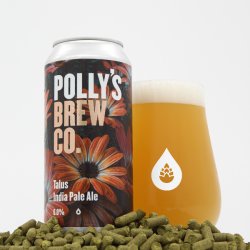 Pollys - Talus - 6% IPA - 440ml Can - The Triangle