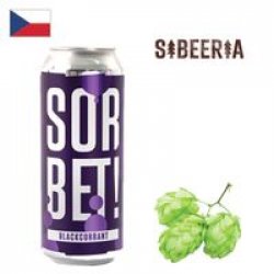 Sibeeria Blackcurrant Sorbet 500ml CAN - Drink Online - Drink Shop