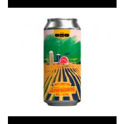 Oso - Americana - 440ml can - Hopping Borders