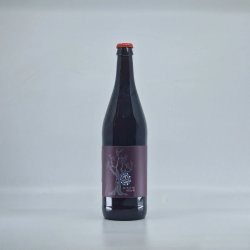 Saint Mars of the Desert Bébé Sauvage