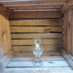 Astronaut  Glas - Bierwinkel Alkmaar