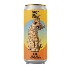 Galway Bay Felina 440ML - Drink Store