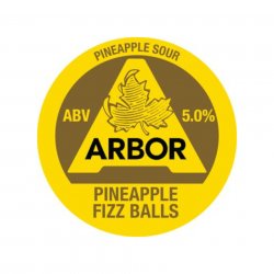 Arbor, Pineapple Fizz Balls, Pineapple Sour, 5.0%, 568ml - The Epicurean