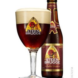 Steenbrugge Dubbel 6,5% 33 cl - Trappist.dk - Skjold Burne