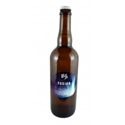 Vik Fusion Lager 11° - Pivní ochutnávka