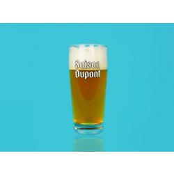 Saison Dupont Stange Glass - Thirsty