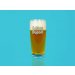 Saison Dupont Stange Glass 