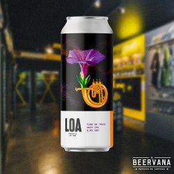 Cerveceria LOA Hazy IPA Cerveceria LOA Hazy IPA