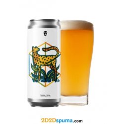 La Pirata Brewing SYMBIOSIS