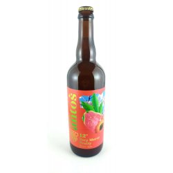 Antoš Very Merry Fruity Pink guava & Apricot  Sour Ale 12° - Pivní ochutnávka