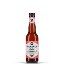 Maximus Brutus 6% vol. 0.33l - Beerlovers