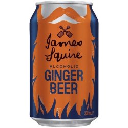 James Squire Alcoholic Ginger Beer 330ml - BoozeBud