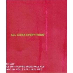 All Citra Everything   Other Half - Craft Beer Dealer